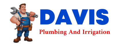 Trusted plumber in DAVIDSVILLE